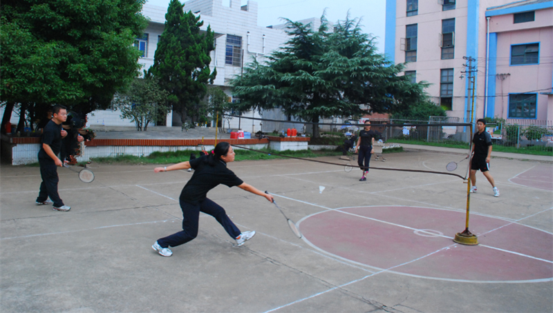 Badminton Competition in 2010